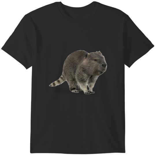 Discover Beavcoon T-Shirts