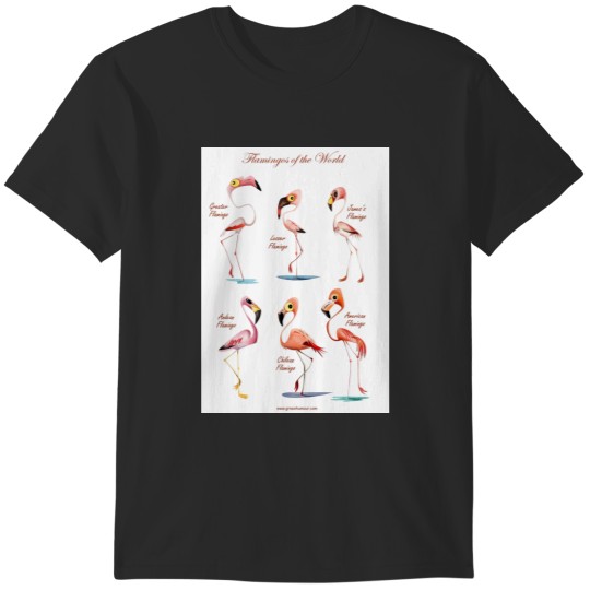 Discover Flamingos of the World T-Shirts