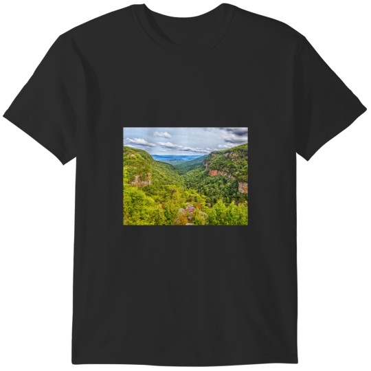 Discover Cloudland Canyon Georgia State Park T-Shirts