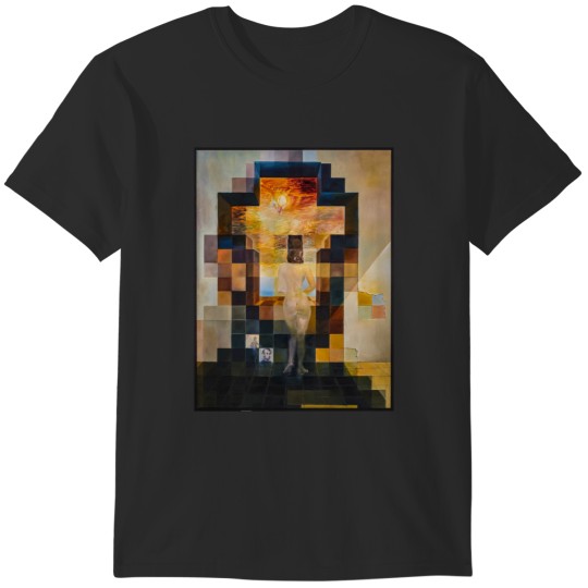 Discover Lincoln in Dalivision Spiral Notebook.png T-Shirts