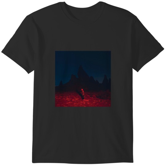 Discover phoebe bridgers punisher album cover T-Shirts