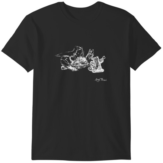 Discover .Big Thief Merch Dragon New Warm Mountain I Believe In You T-Shirts