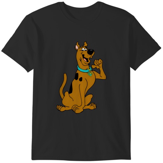 Discover Scooby Doo T-Shirts