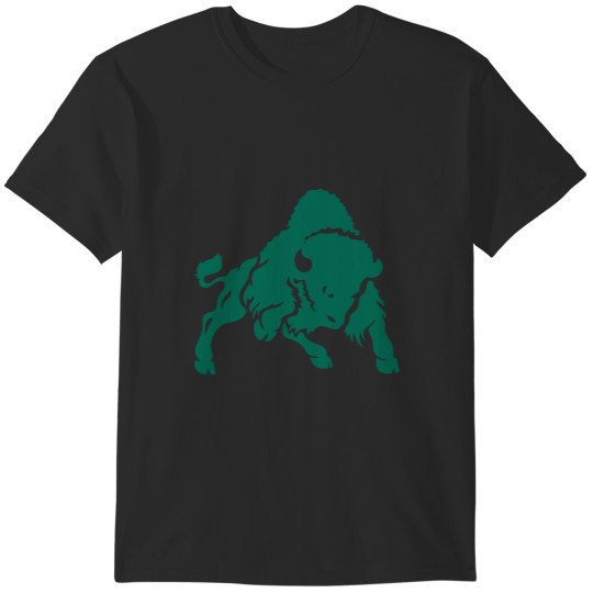 Discover College of Bethany Bison Athletic T-Shirts