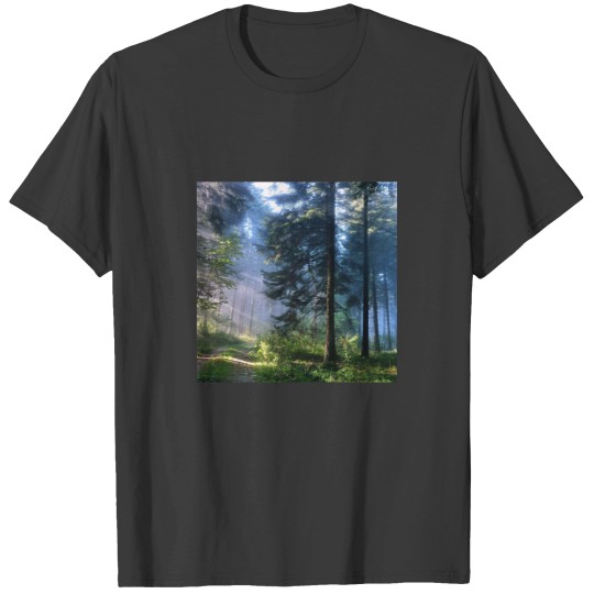 Discover Imagine Dragons T-Shirts