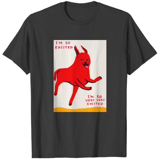 Discover David Shrigley I m So Excited T-Shirts