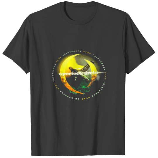 Discover A Perfect Circle T-Shirts