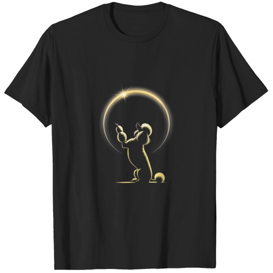 Discover Total Solar Eclipse April 8th 2024 Curious Poodl T-Shirts