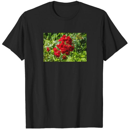 Discover Roses 943 T-Shirts