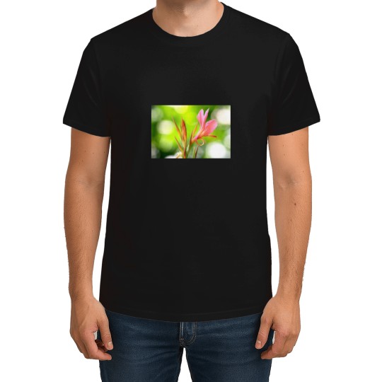 Discover Canna Lily T-Shirts