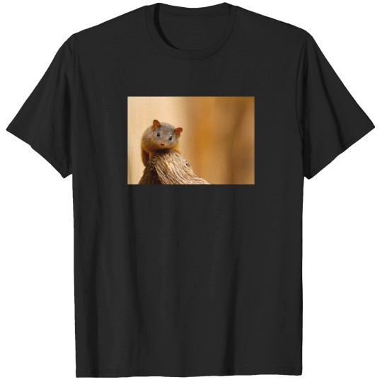 Discover Big World Small Mammal 1715 T-Shirts