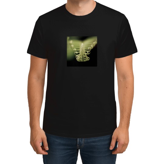 Discover Fern 2402 T-Shirts