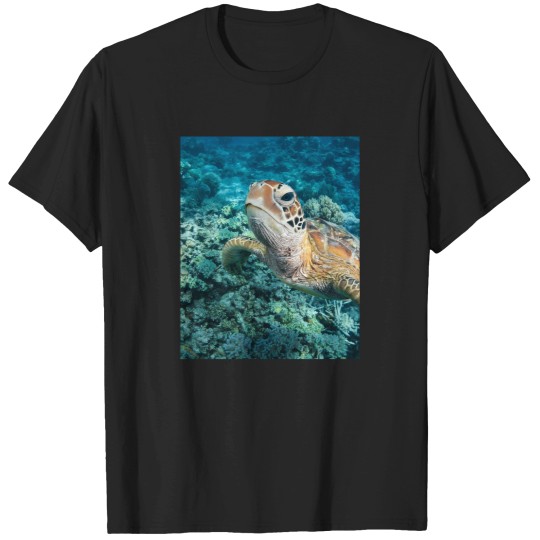 Discover Green Turtle On Great Barrier Reef T-Shirts