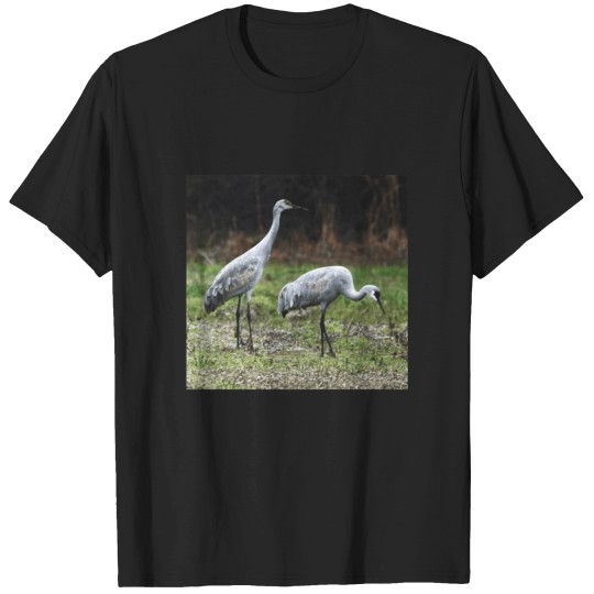Discover sandhill cranes T-Shirts