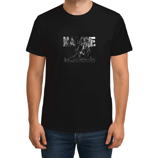 Discover Post Malone Tour Shirt, Big Ass Stadium Posty 2025 Tour, Jelly Roll Austin Album