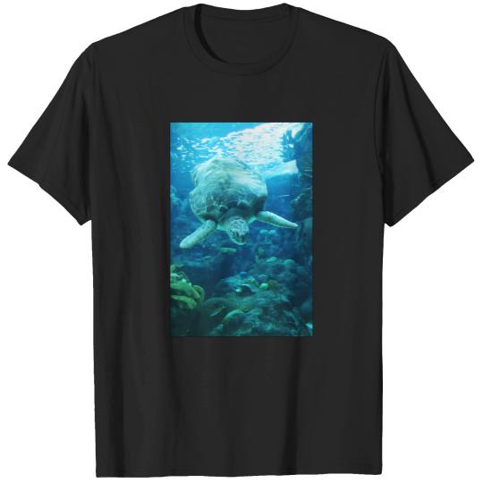 Discover Descending Sea Turtle Sticker 2442 T-Shirts