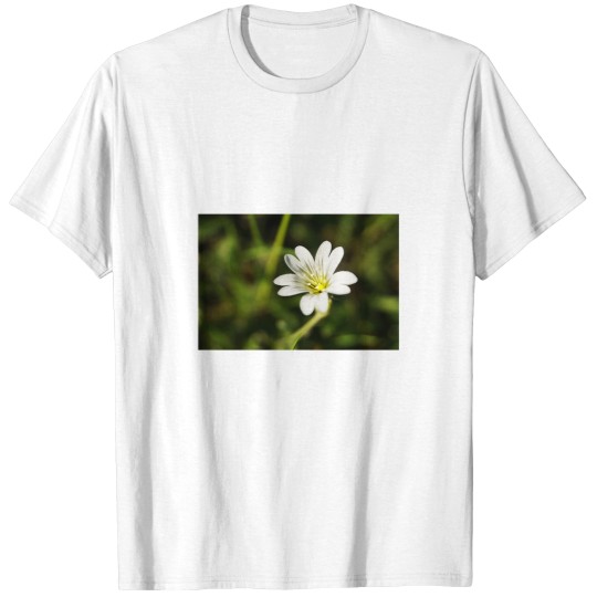 Discover White Flower - European chickweed Premium Scoop T-Shirts