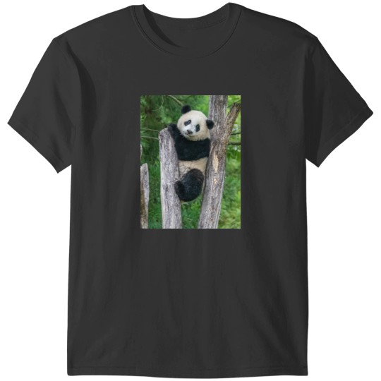 Discover Giant Panda Xiao Qi Ji at the Smithsonian_s National Zoo T-Shirts