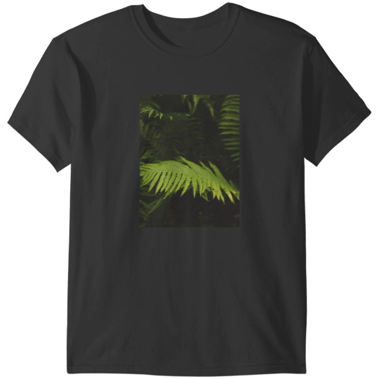 Discover Ferns Graphic T-Shirts