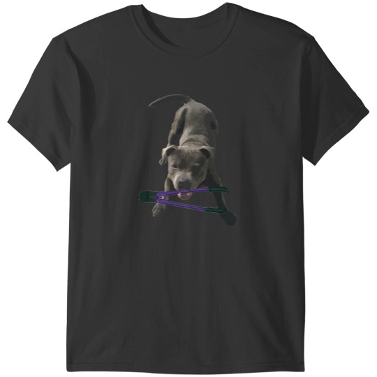 Discover Fetch The Bolt Cutters T-Shirts