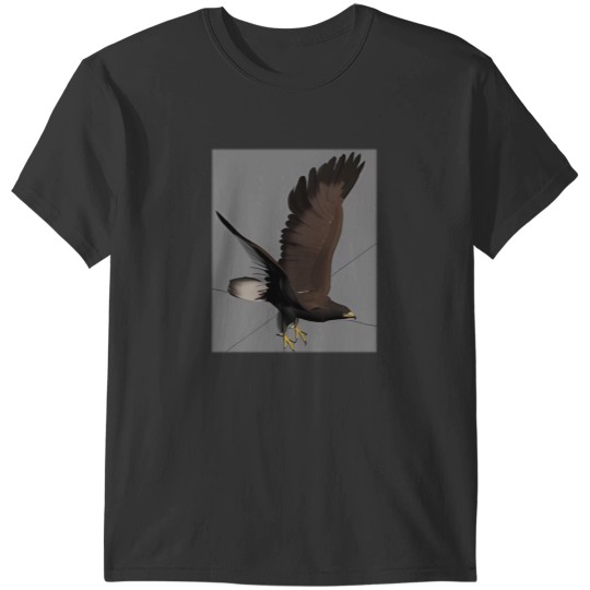 Discover Bald Golden Eagle Bird T-Shirts
