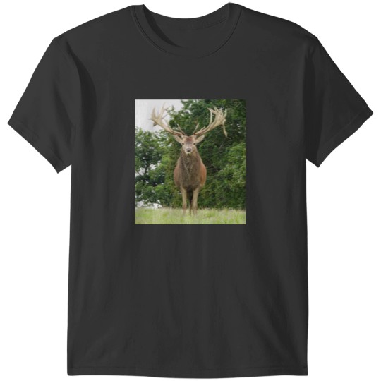 Discover A Fabulous Handsome Red Stag T-Shirts
