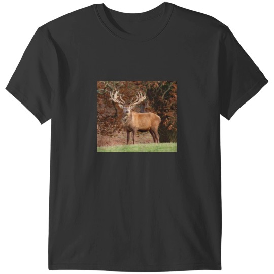 Discover A Wonderful Red Stag T-Shirts