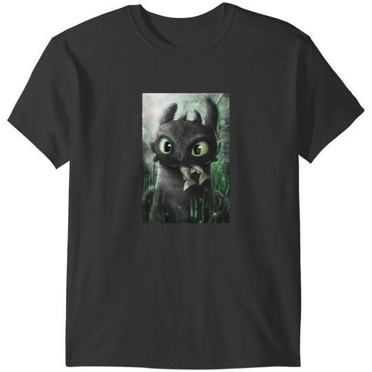 Discover How To Train Your Dragon, Toothless Gifts For Men & Women T-Shirts