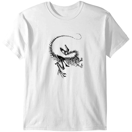 Discover Dinosaur Jr T-Shirts