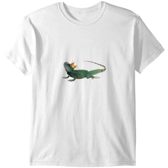 Discover The Door s - The Lizard King Classic T-Shirts
