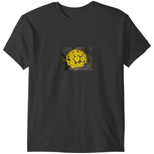 Discover Abronia latifolia (coastal yellow sand-verbena) flower Active T-Shirts