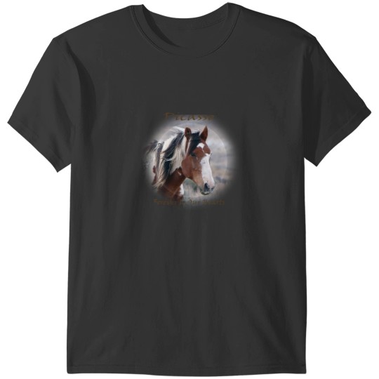 Discover The Icon of Sand Wash Basin T-Shirts
