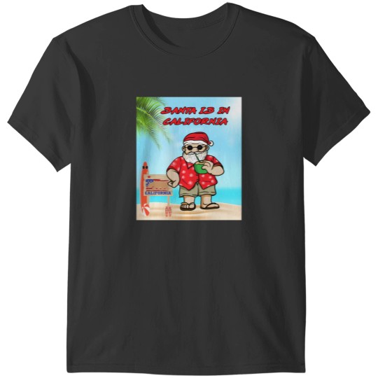 Discover santa is in T-Shirts