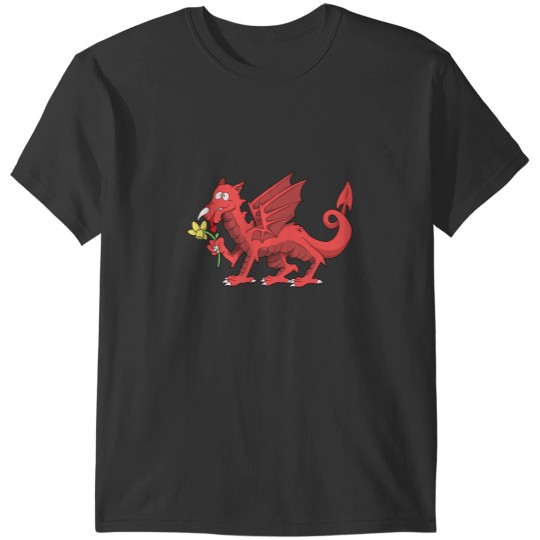 Discover Welsh Dragon T-Shirts