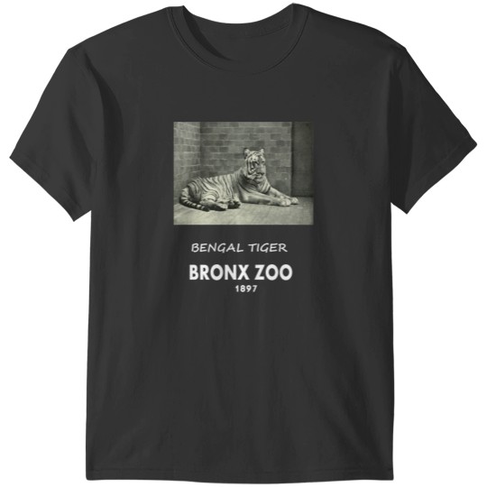 Discover ART OF ZOO - BENGAL TIGER  PHOTOGRAPH ~  BRONX ZOO -1897 T-Shirts