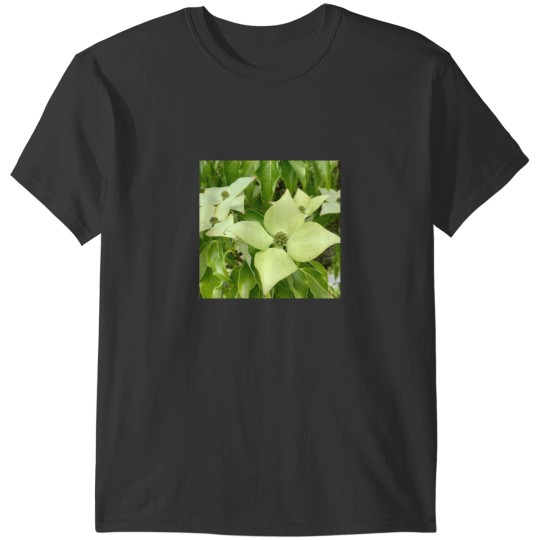 Discover White Truffle(1) T-Shirts