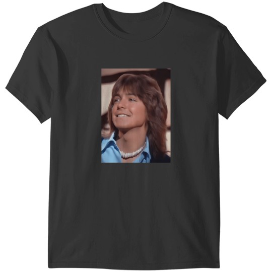Discover David Cassidy T-Shirts