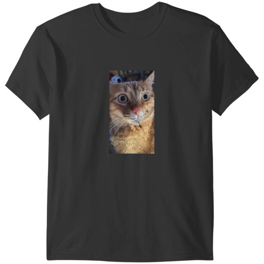Discover What T-Shirts