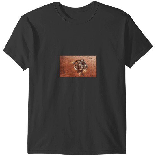 Discover Mars Perseverance Rover Descent T-Shirts