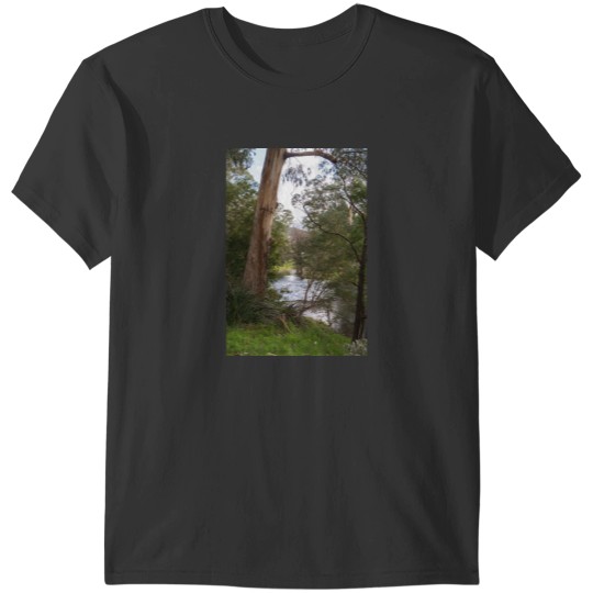 Discover Yarra River, Warburton Premium Scoop T-Shirts