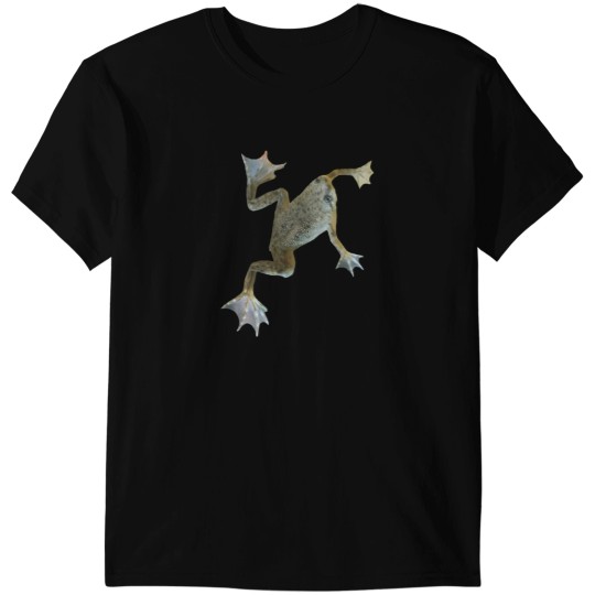 Discover African Dwarf Frog 1775 T-Shirts