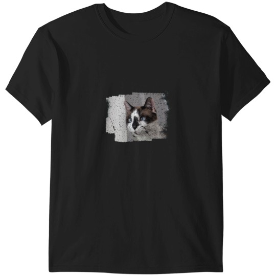 Discover Snowshoe Cat on White T-Shirts