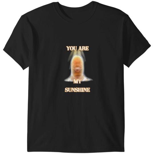 Discover you are my sunshine my only sunshine lebron james T-Shirts
