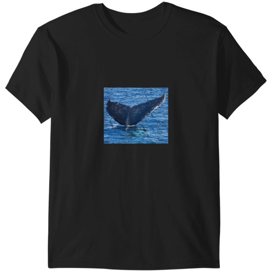 Discover Whales tail Hervey Bay T-Shirts