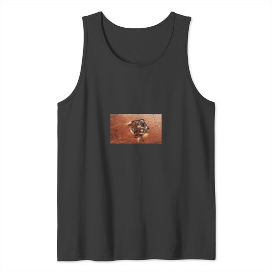 Discover Mars Perseverance Rover Descent Tank Tops