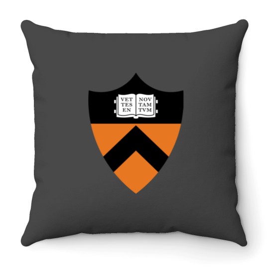 Discover Princeton University Throw Pillows