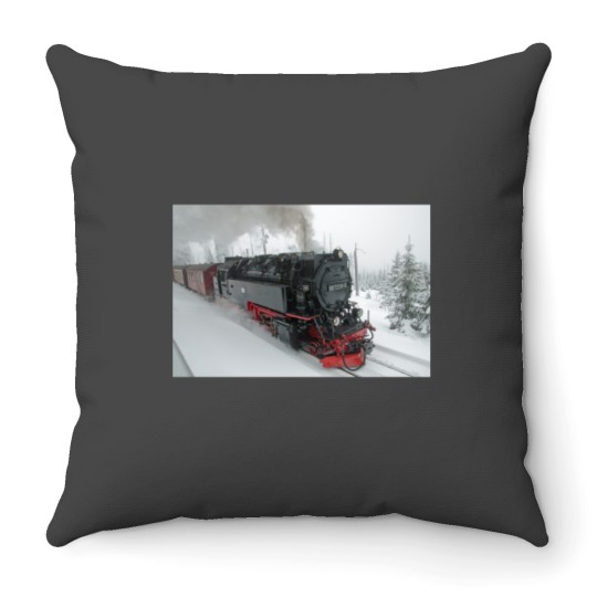 Discover Winter in the Harz Throw Pillows