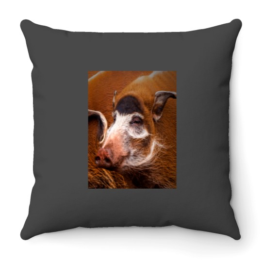 Discover Zoology - Red River Hog Throw Pillows