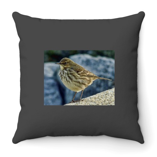 Discover The Finnmarken at Dusk in Tromso Throw Pillows