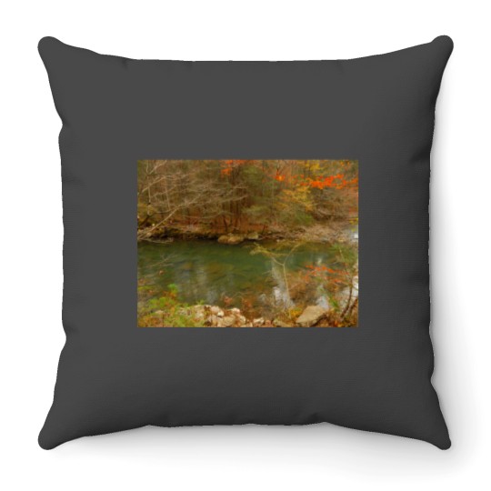 Discover Soak Creek Throw Pillows